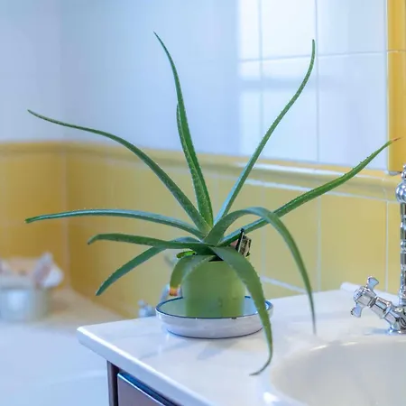 بيت للعطل La Cortina - Naturaleza, Playa Y Montana