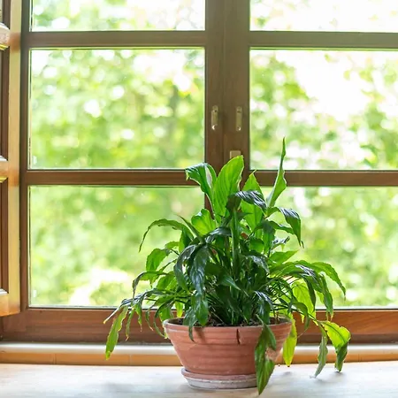 La Cortina - Naturaleza, Playa Y Montana